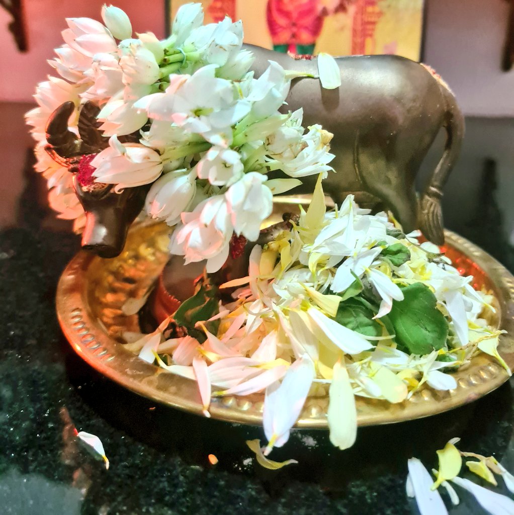 jiljilramamani's tweet photo. Gho poojai and kanu saapadu. Lemon rice, coconut rice and puliogare, aviyal and appalam. Curd rice not in Pic. #TeamFood #festivalandfood #MaatuPongal #kanupongal https://t.co/zRxxlYTJzJ
