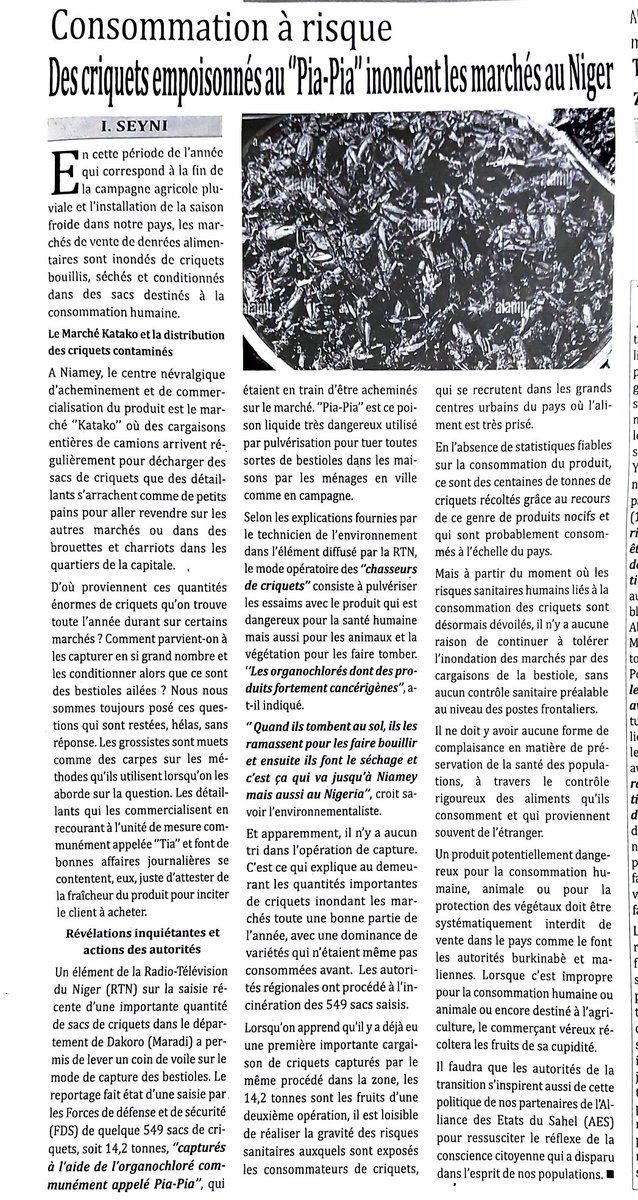 Consommation de #criquets : de cas d'intoxication