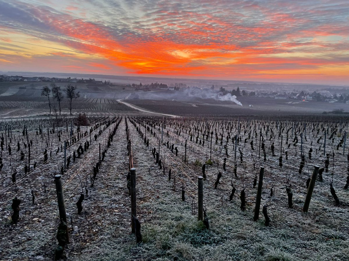 Lyra 🌻 tweet media