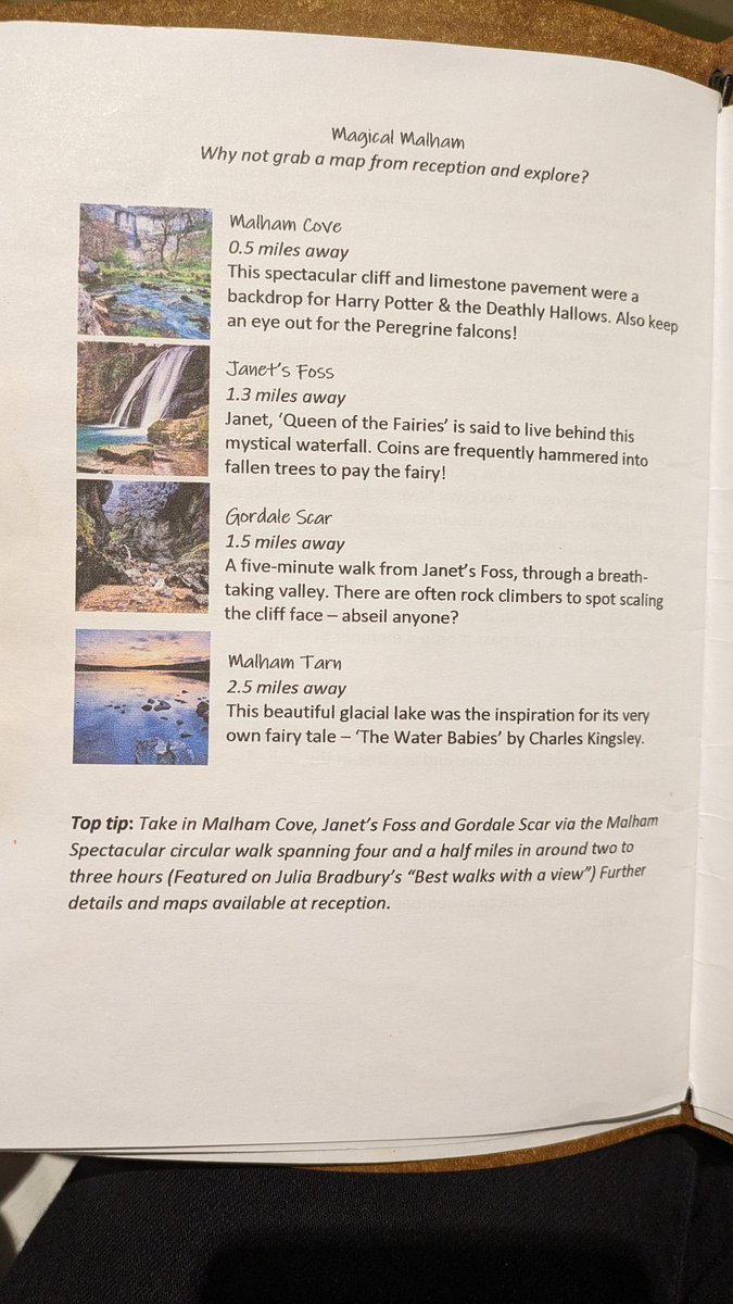 ⓋeganOliⓋe tweet media