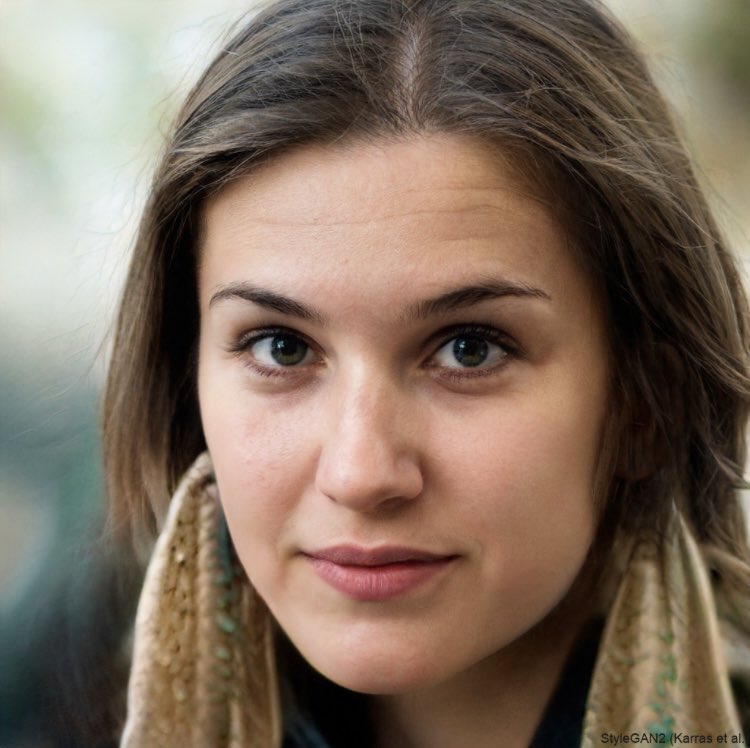 jesuisla_fr's tweet image. Ces personnes n’existent pas.

Imaginez un monde où il sera impossible de distinguer le vrai du faux. Imaginez les dommages des #deepfakes sur des élections si on ne régule pas les IA.

👉 La France doit protéger la démocratie en respectant l’accord sur l'#AiAct
#HumanRightsFirst