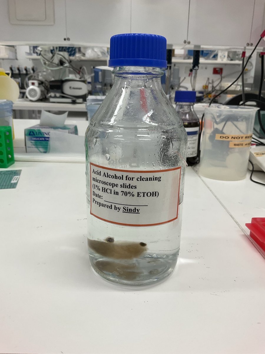 Dr. Morven Cameron tweet media