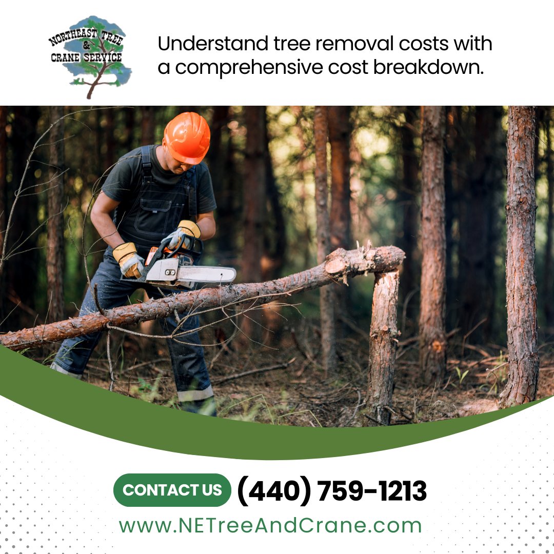 Northeast Tree & Crane Service (@netreeandcrane) / Posts / X