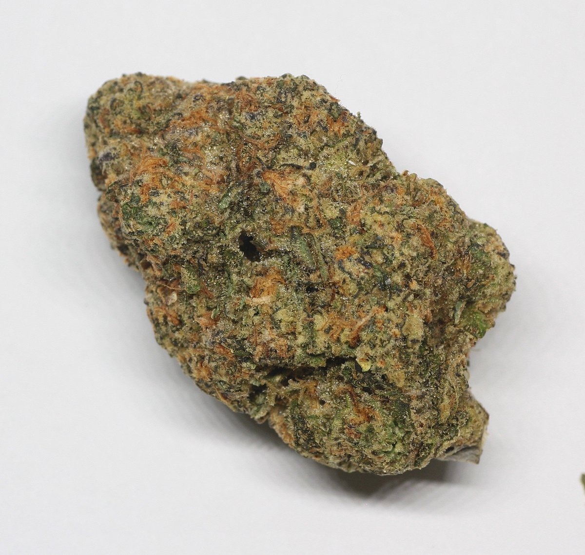 OutbackAnd's tweet image. This Motor Boat by Secret Society Seed Co is by far and away the best pain relief/sleep smoke I've ever had. This shit just lays me out 🔥💨💨💤