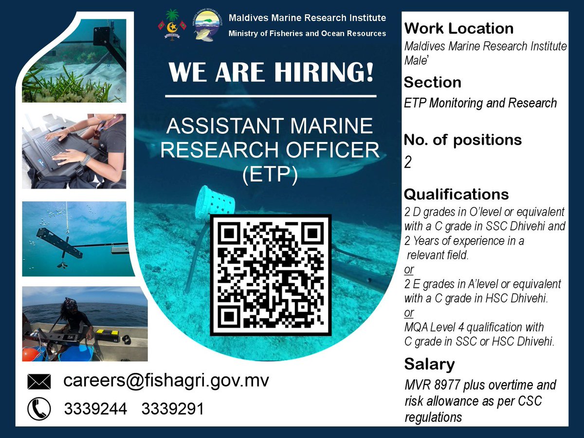 Maldives Marine Research Institute tweet media
