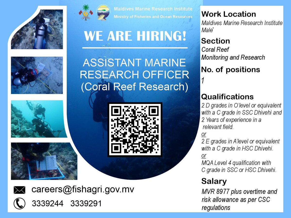 Maldives Marine Research Institute tweet media