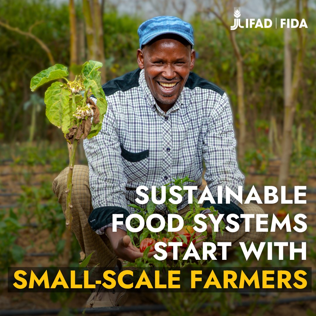 IFAD's tweet photo. By growing nutritious food in a way that respects nature, small-scale farmers secure the wellbeing of their communities and our planet 👐 🌍 

They should be at the forefront of #FoodSystems transformation. https://t.co/r5wjyqjxKR