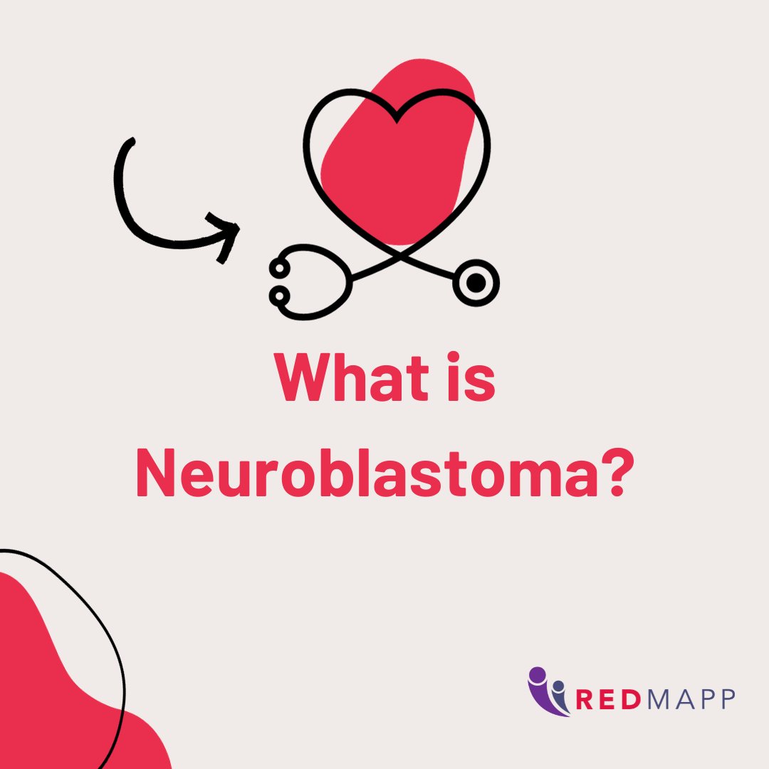 Neuroblastoma most commonly occurs in the adrenal glands above the kidneys or in the nerve tissue that runs alongside the spinal cord in the neck, chest, tummy or pelvis. It is often not detected until it has spread due to a lack of early symptoms.