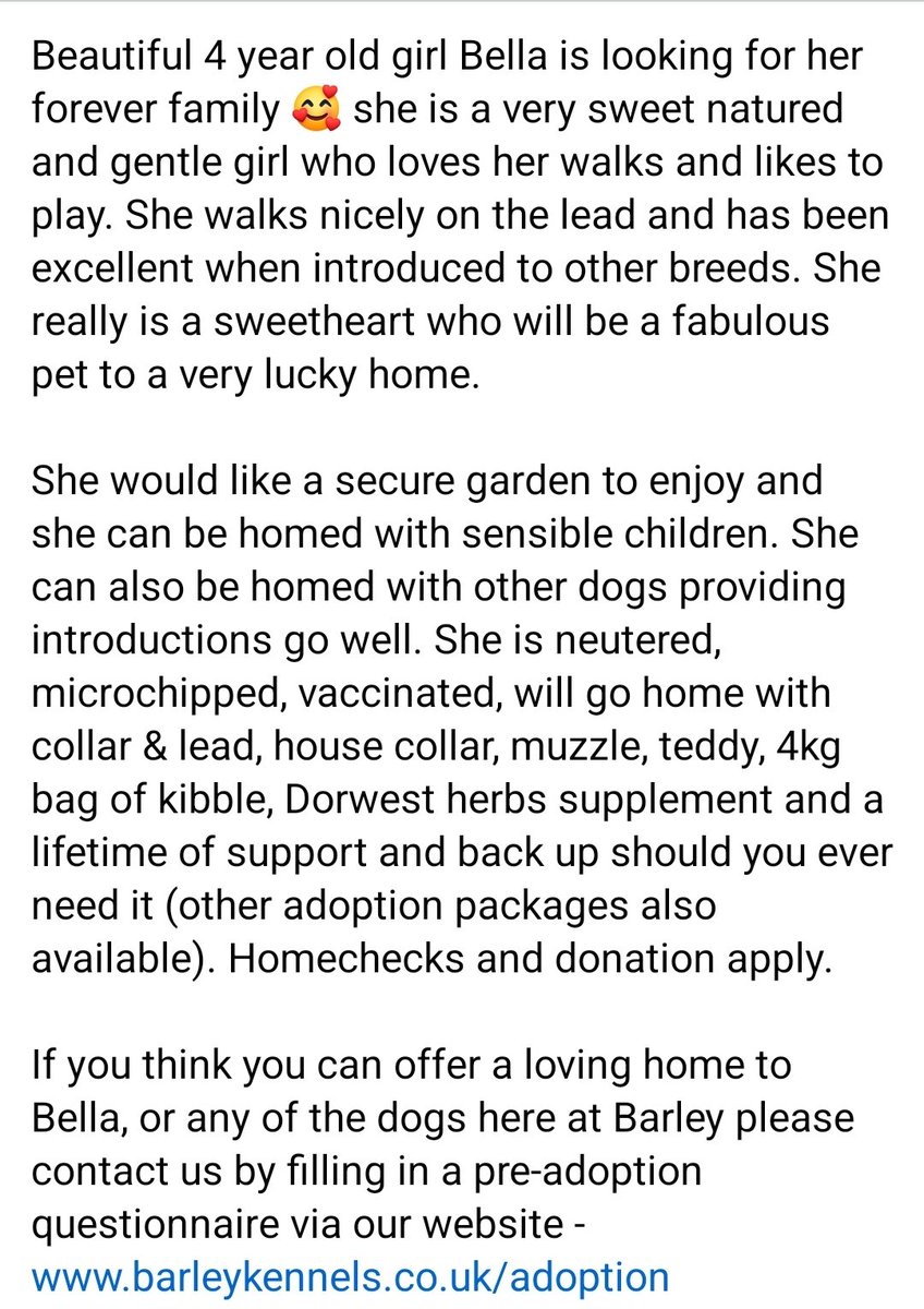 Barley Greyhound Sanctuary tweet media