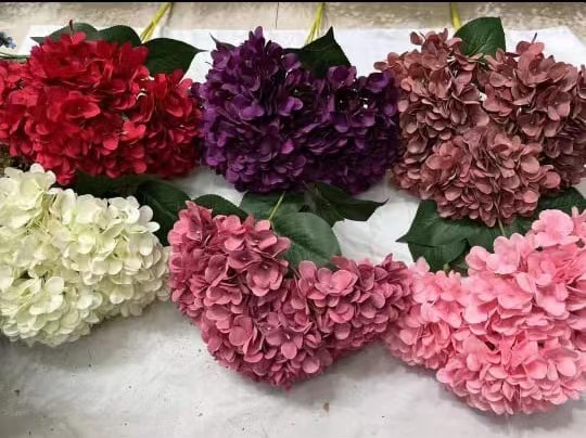 GreenlineaInd's tweet photo. Special prices are in promotion in 2024
Text us via Telegram/Wechat 86 15588989019
Do not text me via WhtsApp please
#JardínVertical #Follajesintético #paisajismourbano #floraritificial #plantaaritificial #fakegrass #artificialivy #cesped #artificialflower #artificialgrassexperts https://t.co/Tnu9JCdCjX