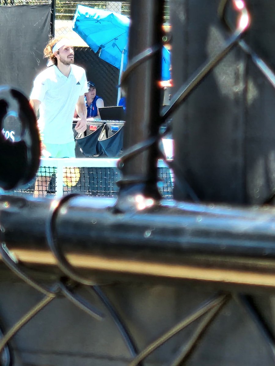 MareeLisaJones's tweet photo. Sneaky peek through the fence 😉 https://t.co/onU0JVNNHA