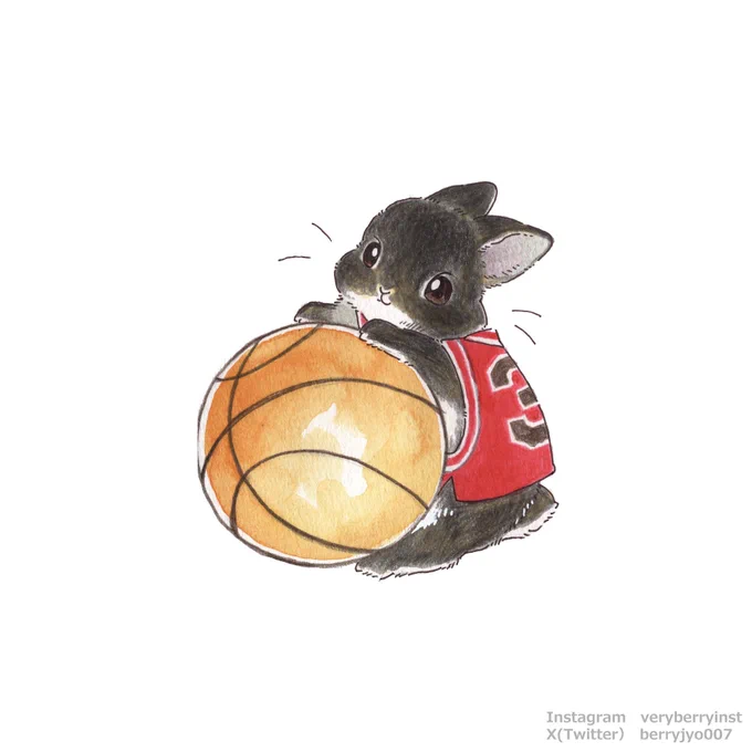 うさぎさんの部活シリーズ  〜バスケ部〜