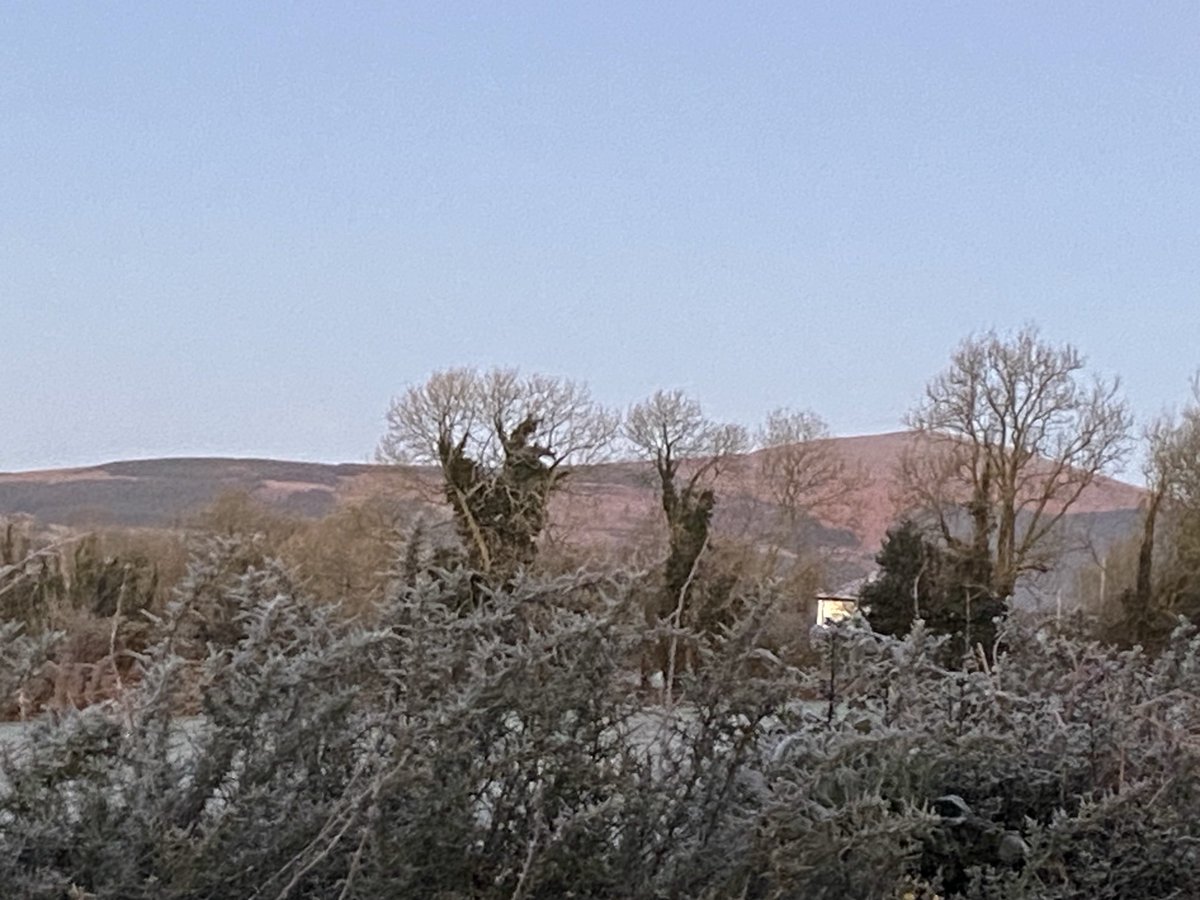 Mag Goldsmith Stamp tweet media