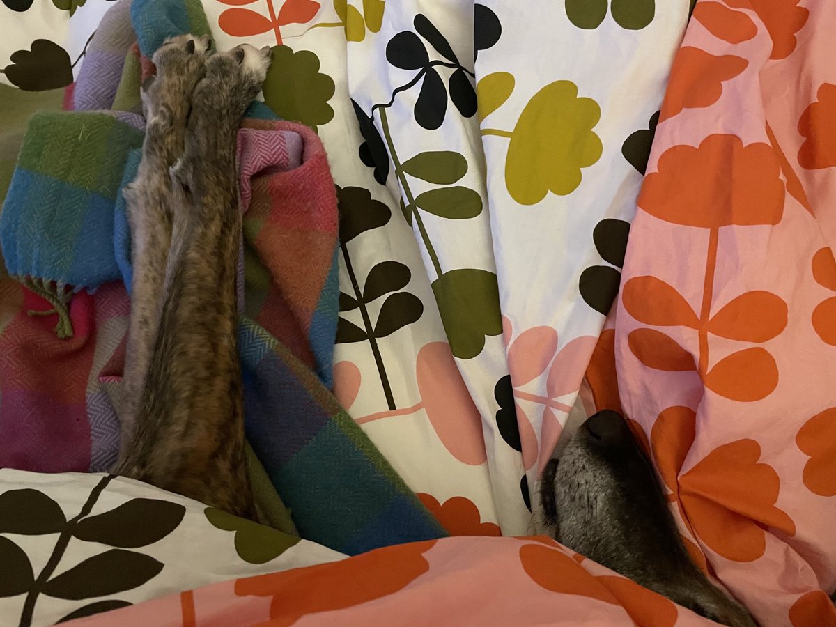 I don’t do ‘minus’ degrees. No thank you.