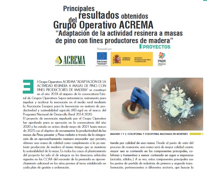 No te pierdas nuestro artículo sobre los principales resultados del proyecto GO #ACREMA y la calidad de la #resina de pino en el último número de la revista de #TRESEME de <a href="/Asmadera_/">Asmadera</a> 
📖asmadera.com/wp-content/upl…
💵@mapagob <a href="/redPAC_/">Red PAC</a>  #forestal #bosques