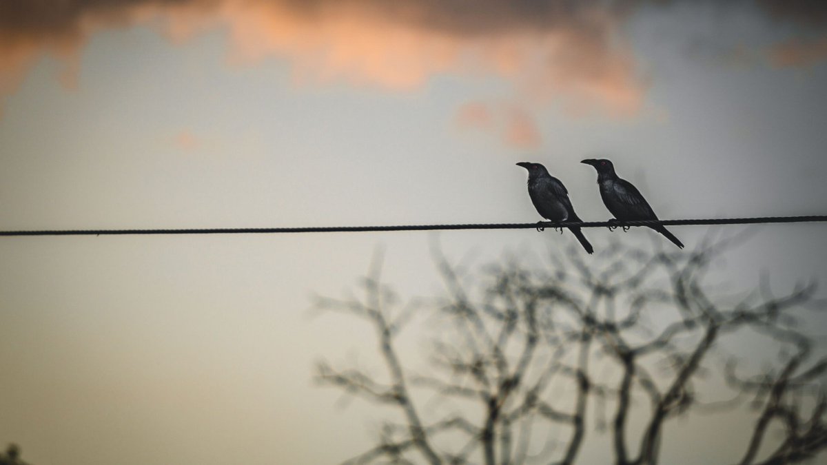 Wonkhe's tweet photo. NEW on Wonkhe: Increasing equality of opportunity requires deeper collaboration with the third sector https://t.co/EeGjiiZpXu https://t.co/uf1re3wsPc