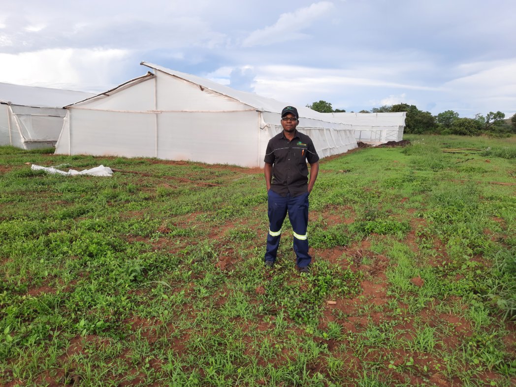 2024 iwe neni tine basa rekubudirira