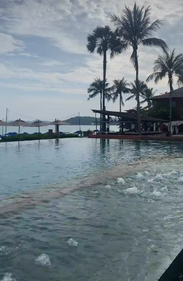 fluglehrer_neu's tweet photo. die massagedüsen sprudeln schon, liegen frei, das wär was...........
#hansar #bophut #samui https://t.co/1OrH4QpB1s