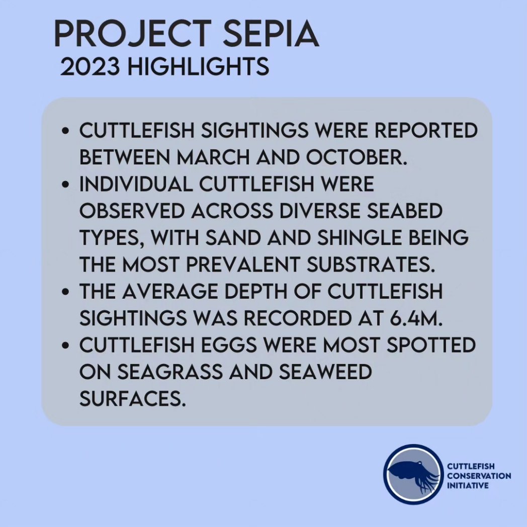 cuttle_cons's tweet image. What an incredible year for #ProjectSepia! Here are all the records submitted in 2023, and some insights from the data collected 📊 Thank you so much to everyone who submitted their data! We've got some exciting plans for Project Sepia in 2024. Stay tuned!