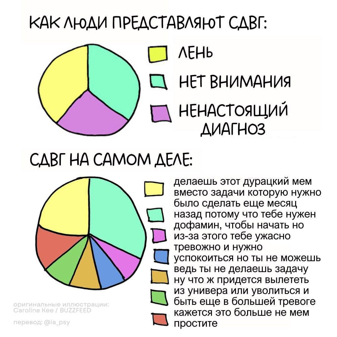 пипи малыш в суперпозиции tweet media