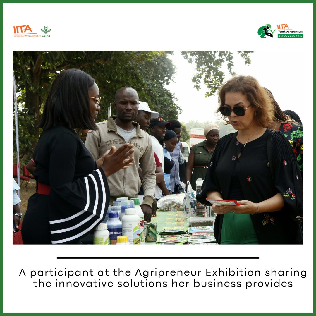 IITAYOUTHAGRIP's tweet photo. During the visit of the Executive Managing Director of the @CGIAR, Dr Ismahane Elouafi, to the IITA Headquarters in Ibadan, Oyo State, we had the privilege of hosting her at one of our #Agripreneur project sites for an Exhibition.
There, our Agripreneurs showcased their products, a testament to their dedication and triumphs. From pioneering cassava stem multiplication to the far-reaching impact of innovative fish feed solutions, their innovations painted a vibrant picture of food system transformation and diversity of delivery and catalyzing #research.

The @CGIAR_EMD, immersed in these presentations, celebrated their profound impact on agriculture and food security.
.
.
#YouthAgripreneurs #FoodSystems #ScalingInnovation #2024