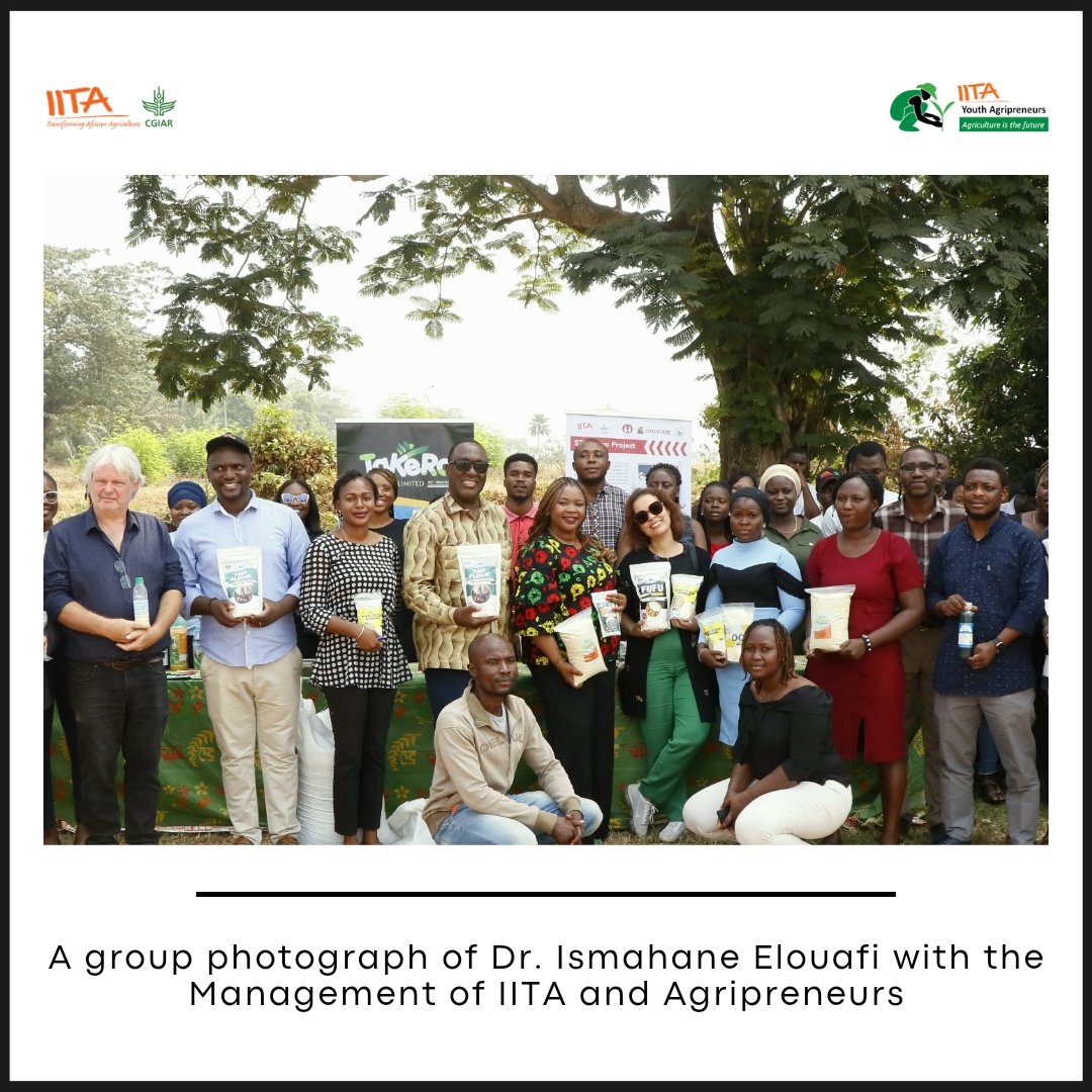IITAYOUTHAGRIP's tweet photo. During the visit of the Executive Managing Director of the @CGIAR, Dr Ismahane Elouafi, to the IITA Headquarters in Ibadan, Oyo State, we had the privilege of hosting her at one of our #Agripreneur project sites for an Exhibition.
There, our Agripreneurs showcased their products, a testament to their dedication and triumphs. From pioneering cassava stem multiplication to the far-reaching impact of innovative fish feed solutions, their innovations painted a vibrant picture of food system transformation and diversity of delivery and catalyzing #research.

The @CGIAR_EMD, immersed in these presentations, celebrated their profound impact on agriculture and food security.
.
.
#YouthAgripreneurs #FoodSystems #ScalingInnovation #2024