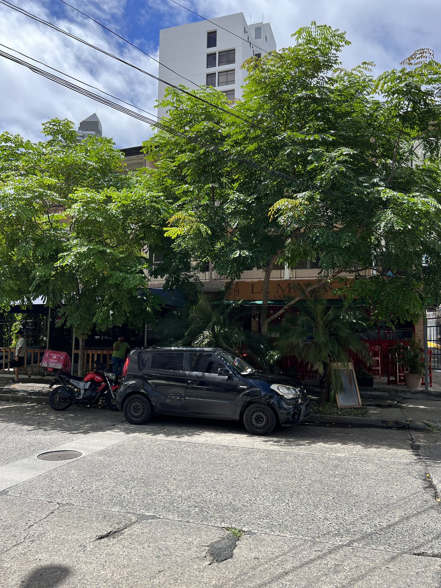 joseisturain's tweet photo. Aunque las aceras de Panamá sufren el mismo síntoma del estado -NO HAY CONTINUIDAD- en el barrio de El Cangrejo hay tramos bien agradables para estar y caminar. Al menos 5 grados menos entre la acera y la calle. 

Espero algún día ver así TODAS las calles de nuestras ciudades. https://t.co/YcLeb9afPE