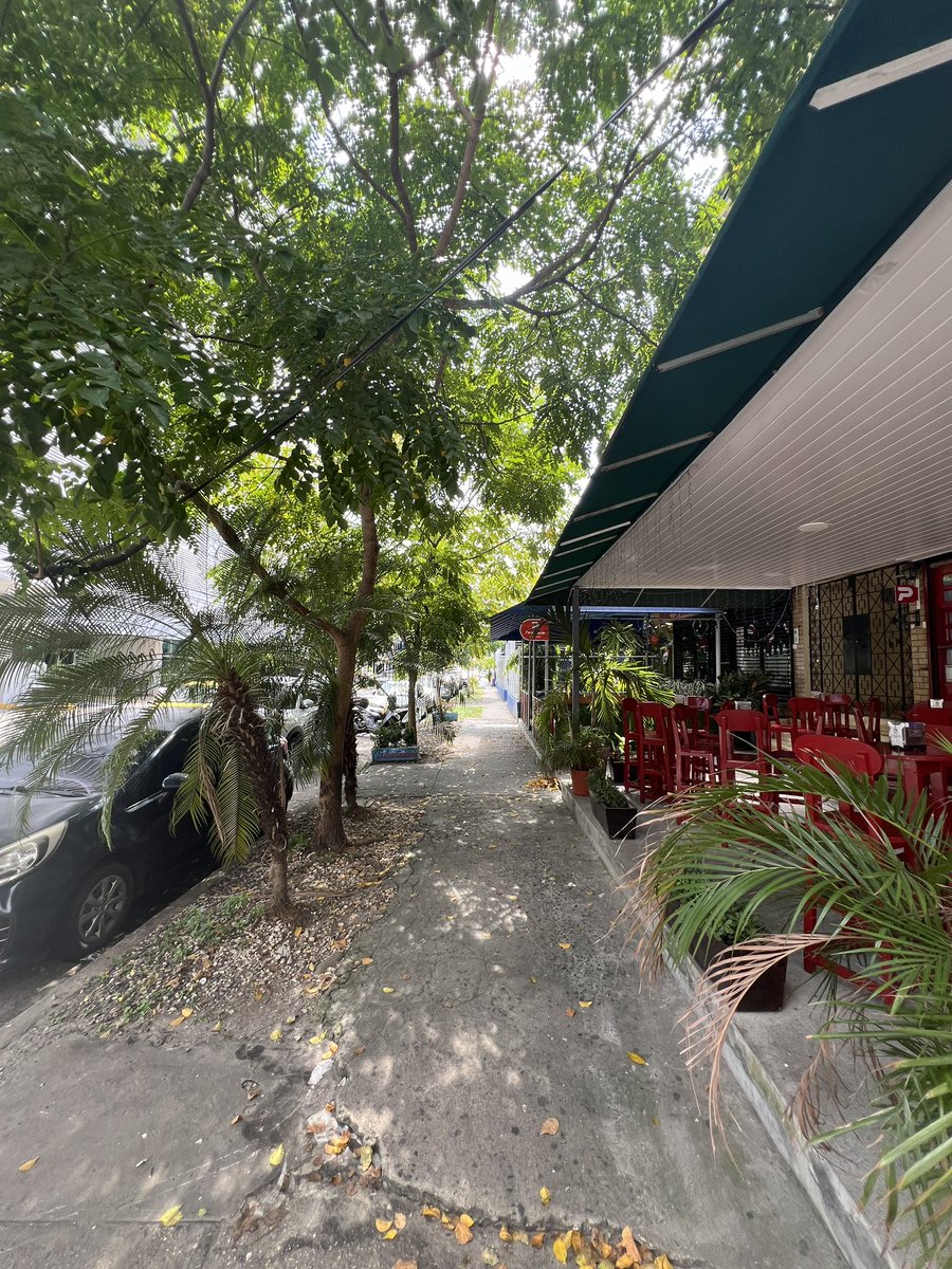 joseisturain's tweet photo. Aunque las aceras de Panamá sufren el mismo síntoma del estado -NO HAY CONTINUIDAD- en el barrio de El Cangrejo hay tramos bien agradables para estar y caminar. Al menos 5 grados menos entre la acera y la calle. 

Espero algún día ver así TODAS las calles de nuestras ciudades. https://t.co/YcLeb9afPE
