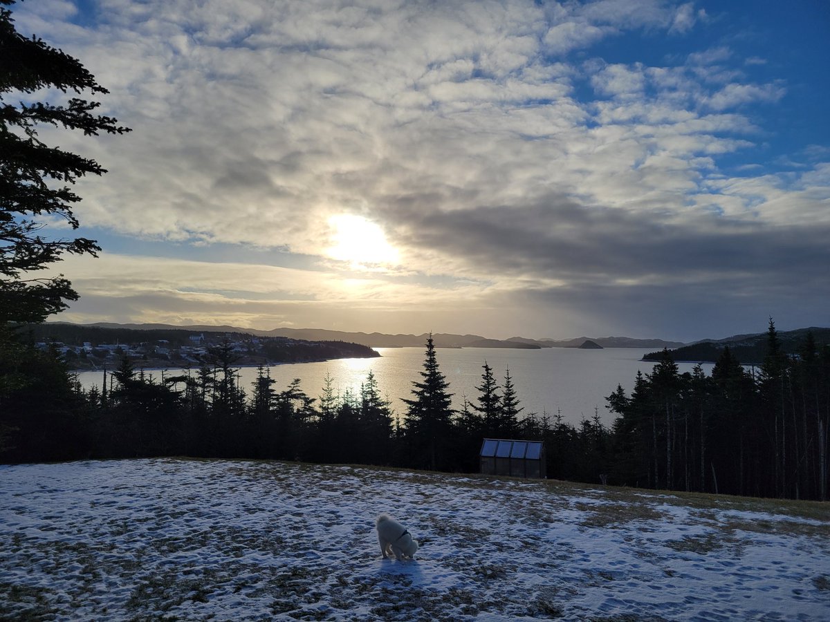 Paula_slaney's tweet photo. @EddieSheerr was right. It is definitely the calm before the storm here in Lewin's Cove. https://t.co/dZvr7LFhhr