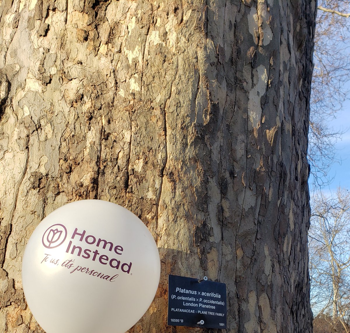 Home Instead Norwood tweet media