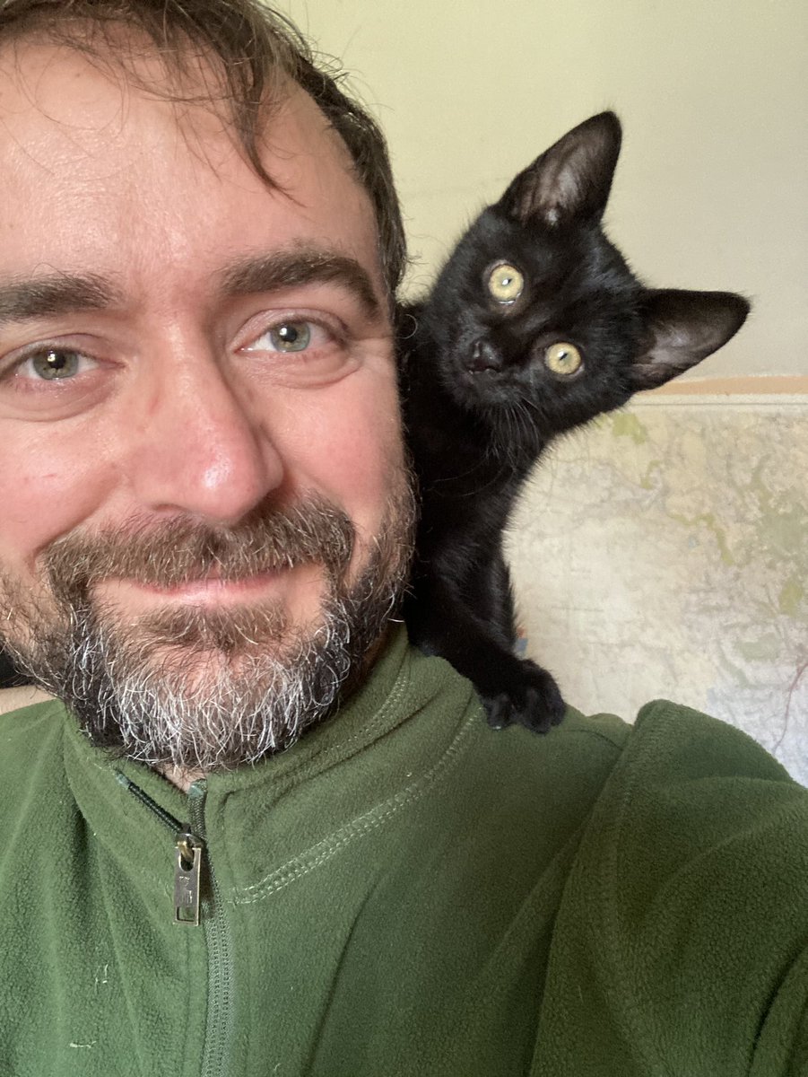 henrywre's tweet photo. Hello Twitter, you’ve changed. So have I infact… #catdad https://t.co/bCpF1fMnmH