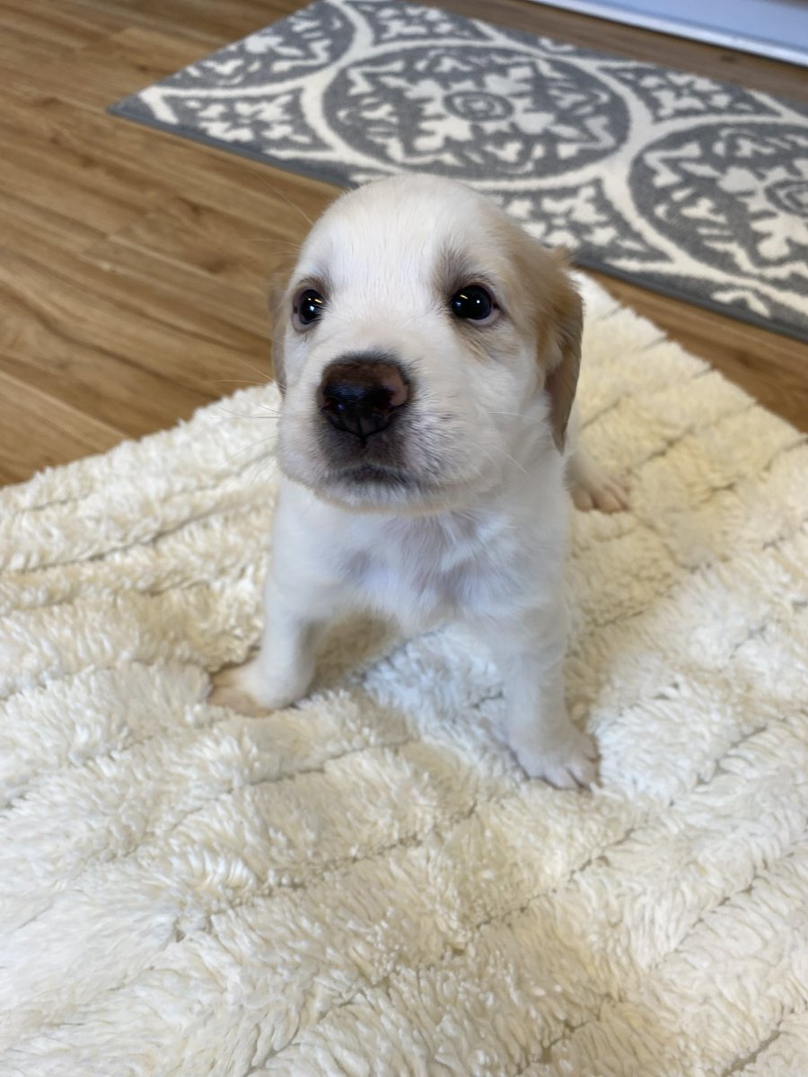 Catturd ™ tweet media