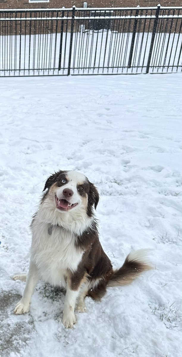 Heather Lozano tweet media