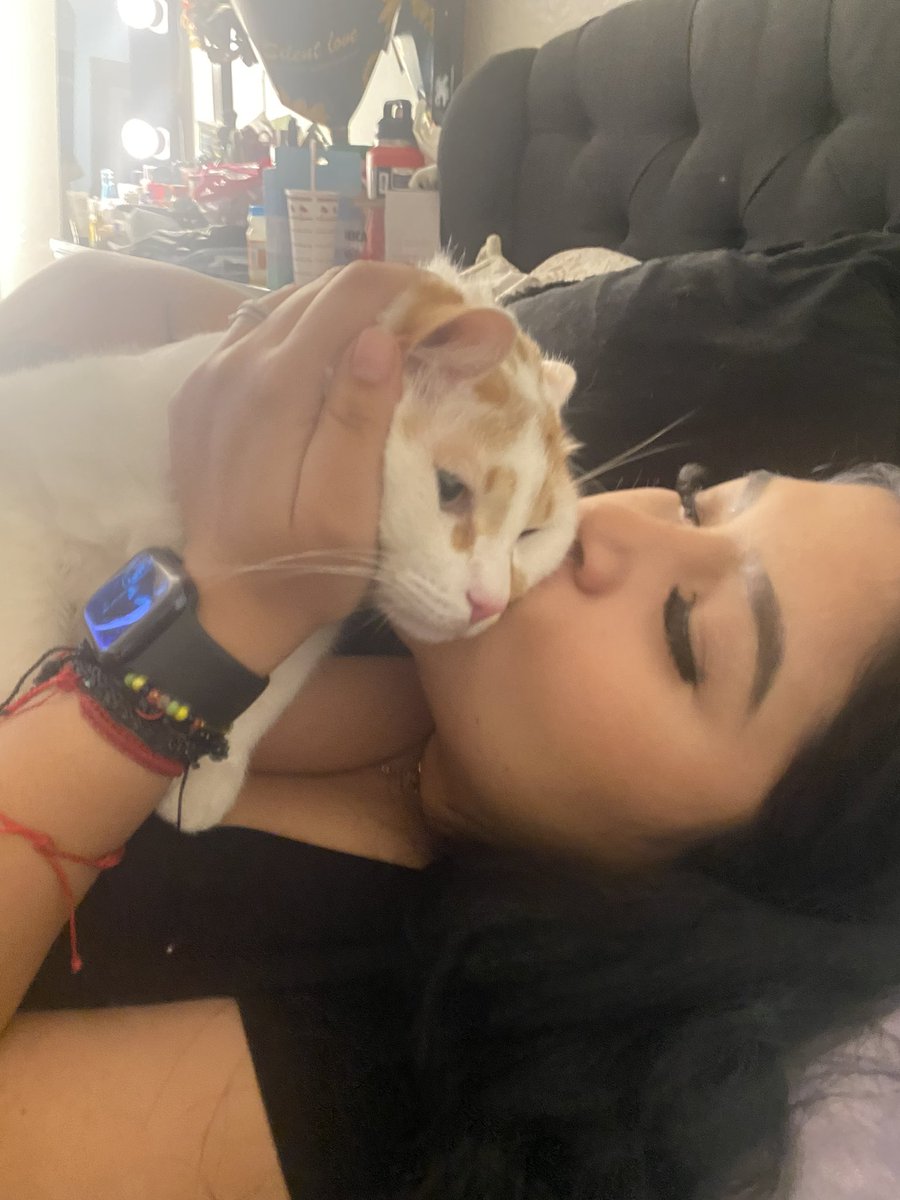 itz_ours's tweet photo. My 🐱❤️ https://t.co/vaXUAgFGxf