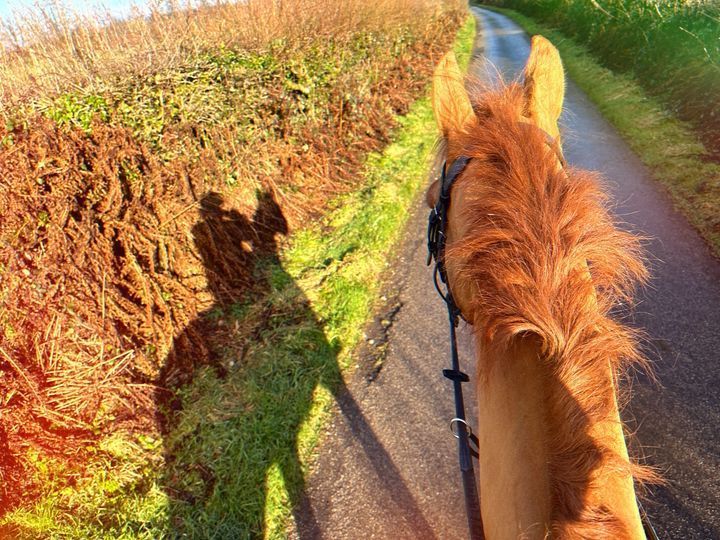 Horses welcome on holiday at Stockham Farm! 🐴🌟 

 Stockham Farm, Dulverton, Somerset, Exmoor 
🐴 Welcomes horses, dogs and small pets 🐾 
weacceptpets.co.uk/Somerset/8198 

<a href="/Stockham_Farm/">Stockham_Farm</a> #exmoor #somerset #northdevon #selfcatering #awardwinning #holidaycottage #horseswelcome #horse