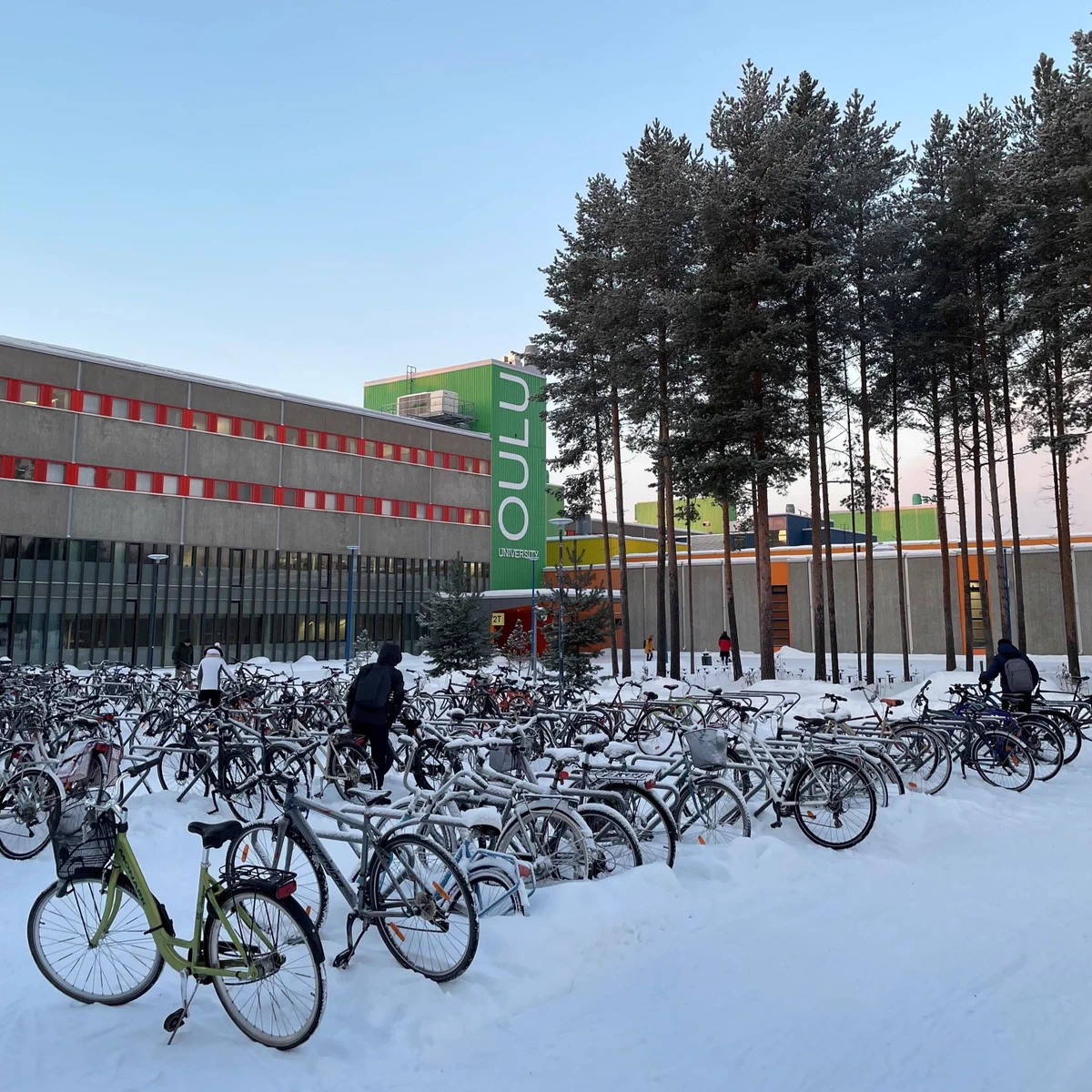In the picture is the Linnanmaa campus of the University of Oulu in mid-January. The temperature is around twenty degrees below freezing. The bike rack is full of bikes. A few students are about to start cycling from the campus.
