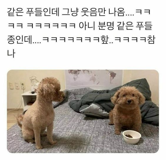 zazazazaz_'s tweet photo. 그림체 다른거 미치겠다 https://t.co/03wDyuzBOI