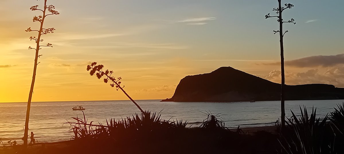 cabodegata's tweet image. parquenatural.com/limpieza-playa… Enlace inscripción y detalles: – Sábado 20 de enero en la playa de la Fabriquilla – Domingo 21 de enero en la playa de Genoveses- Horario: 10:00 a 12:30