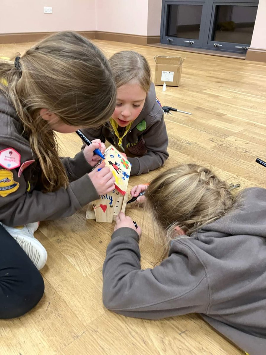 1stMeadowfield's tweet photo. Tonight our brownies have been building their skills - the older girls have been creating mythical creatures and the younger girls have been using their tools to build birdhouses @GirlGuiding_DS @GirlguidingNEE @Girlguiding https://t.co/2A2fPwhU72