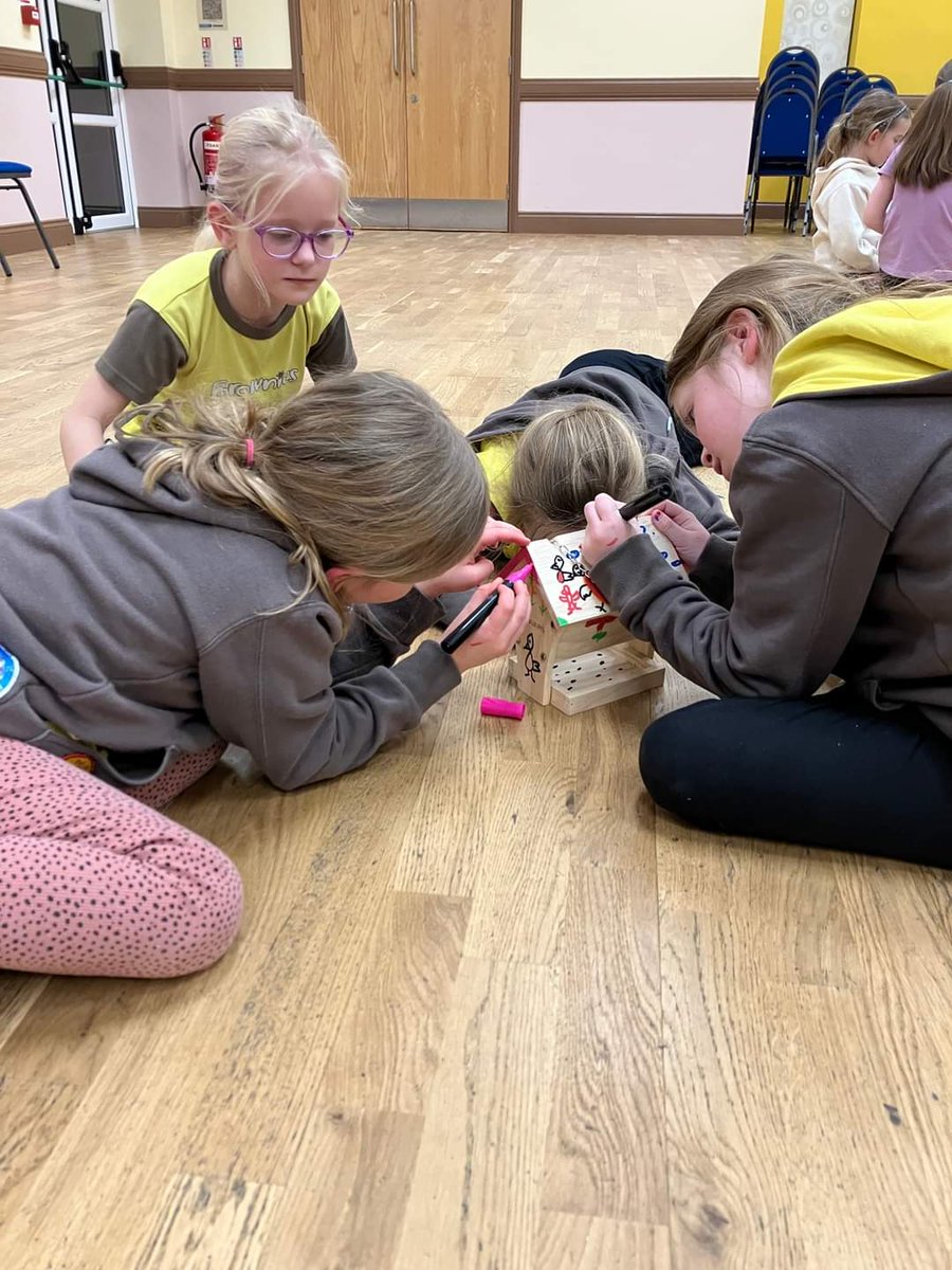 1stMeadowfield's tweet photo. Tonight our brownies have been building their skills - the older girls have been creating mythical creatures and the younger girls have been using their tools to build birdhouses @GirlGuiding_DS @GirlguidingNEE @Girlguiding https://t.co/2A2fPwhU72
