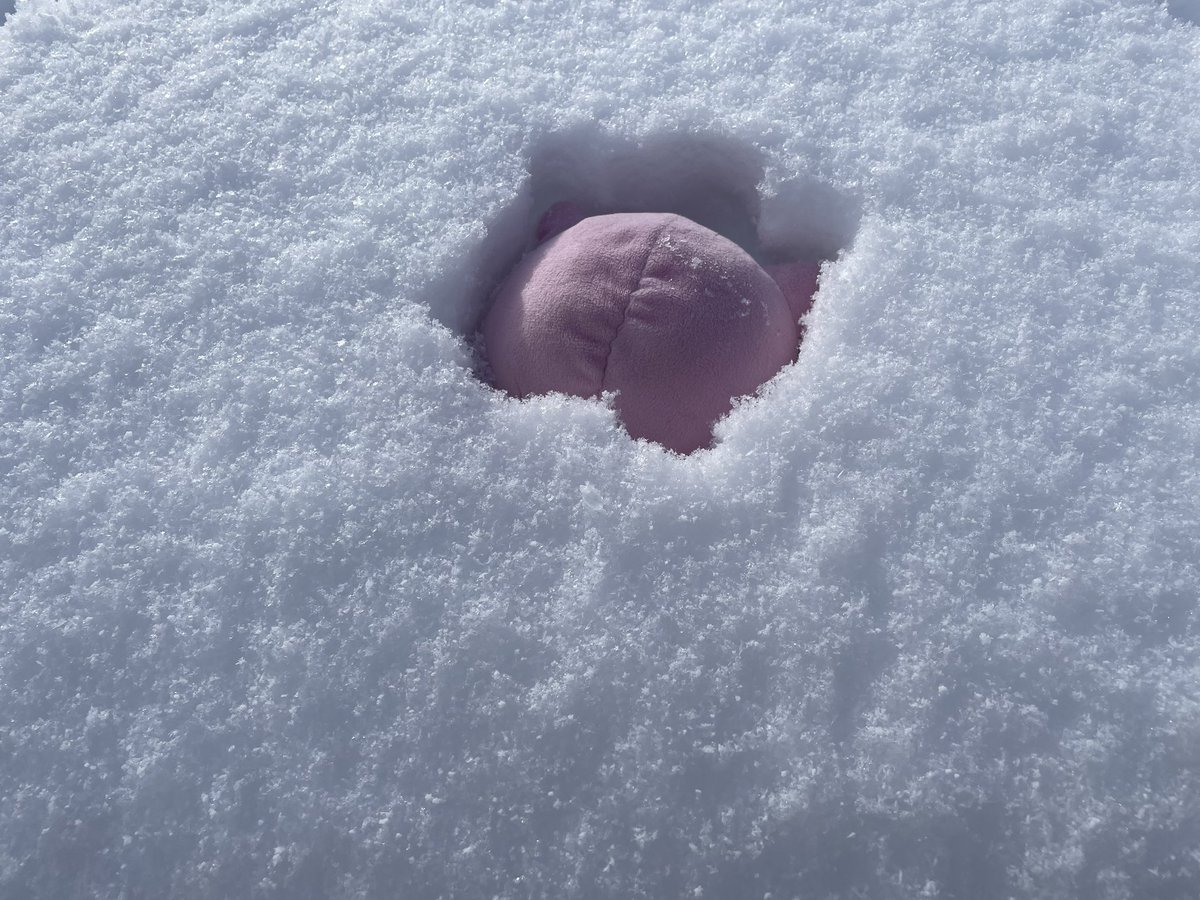 chapppche's tweet photo. 雪プリン好きすぎるから皆投稿してほしい https://t.co/7xLpz4laGo