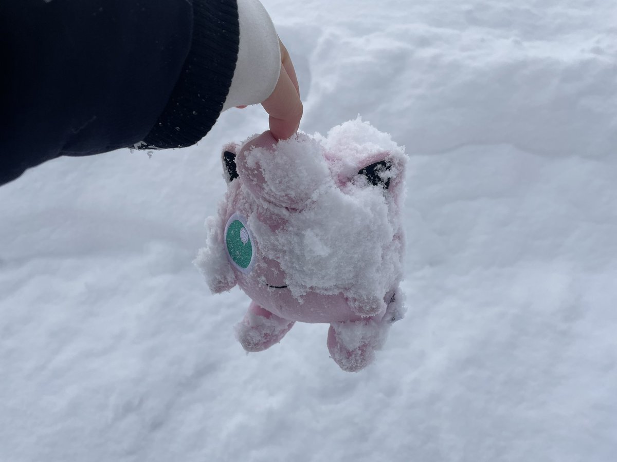 chapppche's tweet photo. 雪プリン好きすぎるから皆投稿してほしい https://t.co/7xLpz4laGo