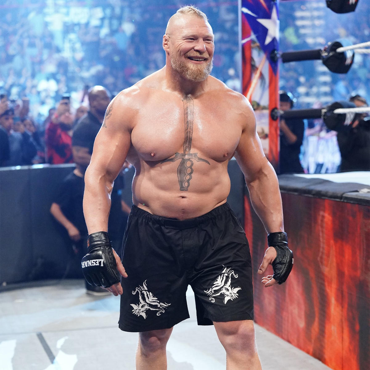 Wrestle Features tweet media