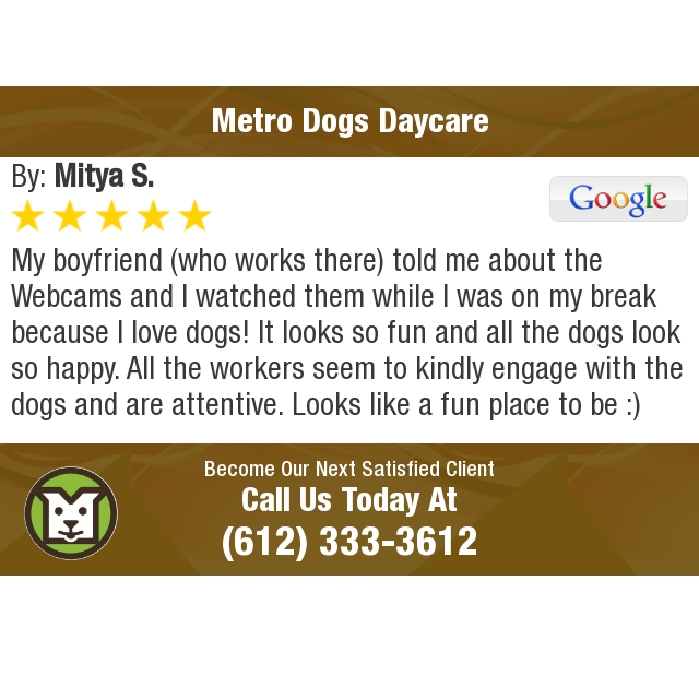 MetroDogsMN's tweet photo. 5 Star: Mitya S. "My boyfriend (who works there) told me about the Webcams and I..." https://t.co/NQp2NKBM3A https://t.co/ctO7g1s01f