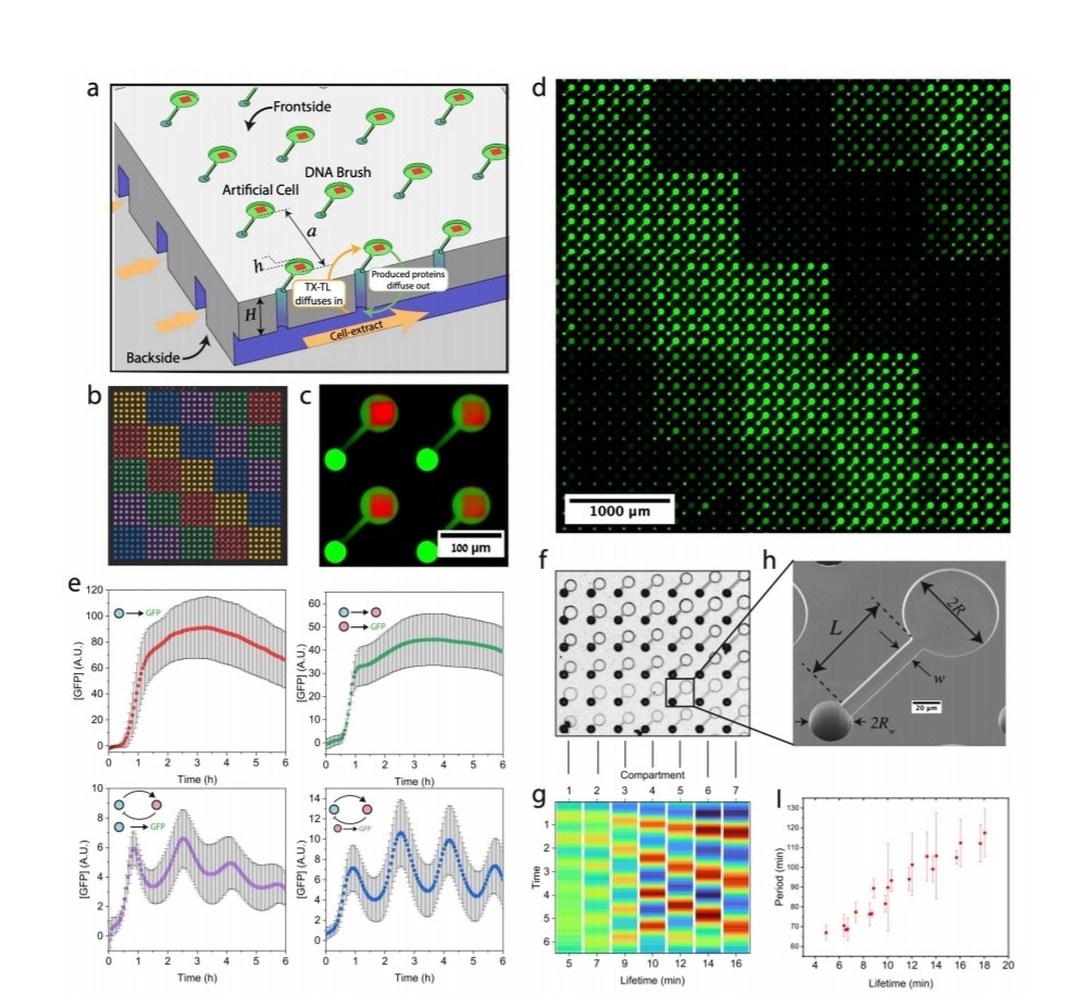 Olivier Borkowski tweet media