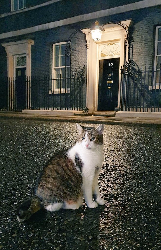 LightHackers's tweet image. Still to this day.. my favourite shot I have taken of Larry.