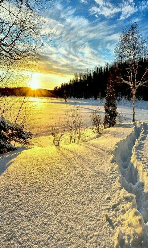 <a href="/ANGELESBERMEJO1/">ANGELES 💚☘️🌷</a> Hello dear Angeles. I wish your Tuesday be very enjoyable as well 💛💛