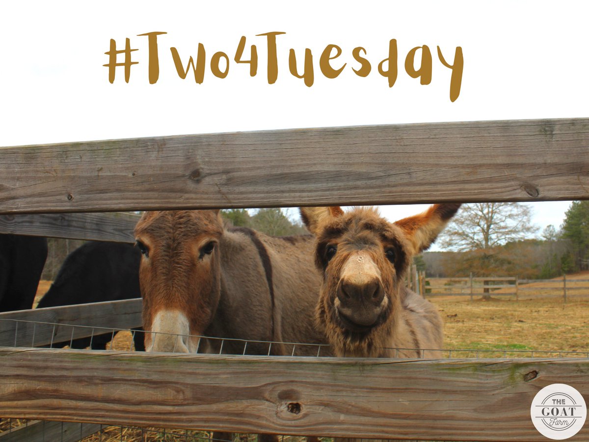 Smile: Monday is behind us and it's #Two4Tuesday!

#goodmorning #Tuesday #CoffeeTime #ruralliving