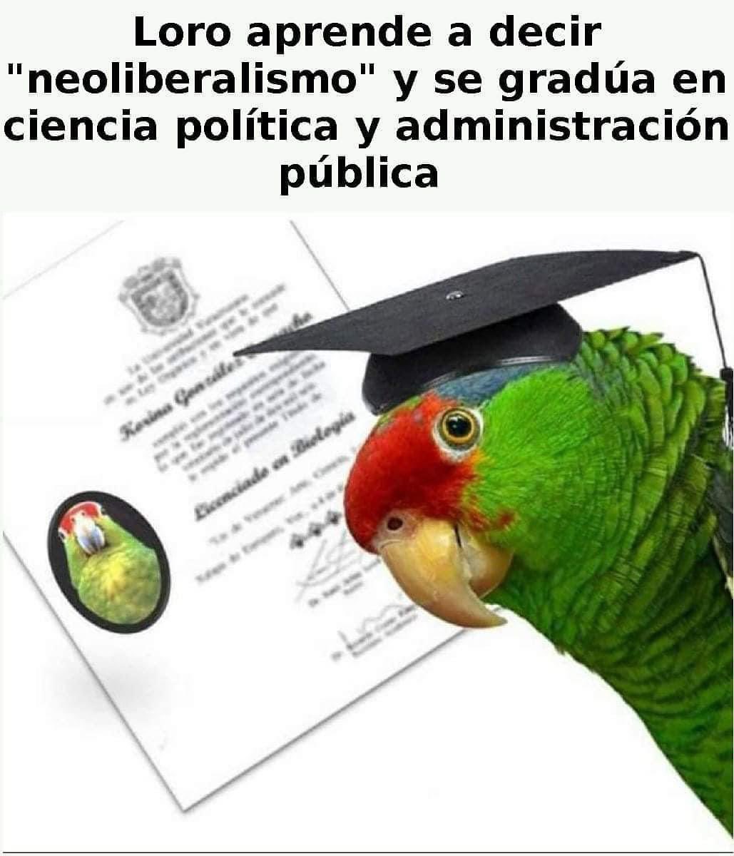 jarapolitica's tweet photo. https://t.co/t4eqdJwpAI
