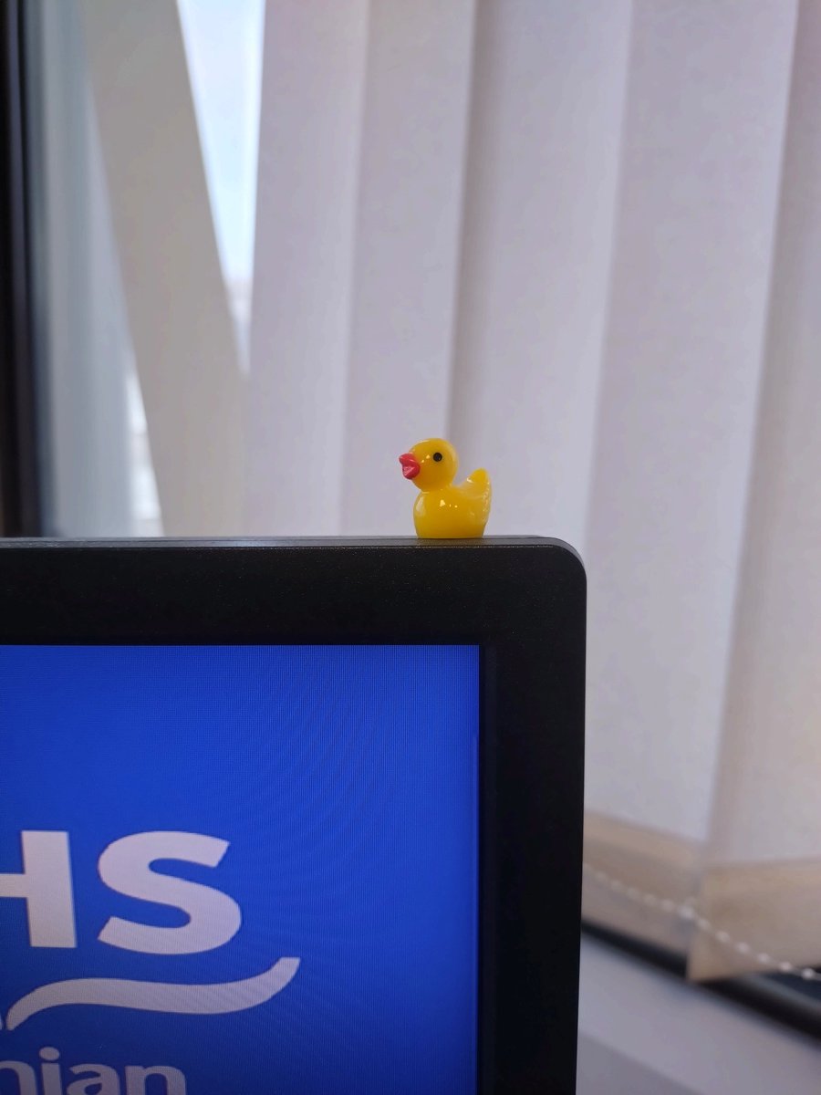 SimpsonCallum_'s tweet image. Tiny plastic ducks have appeared on about half of the computers in our office overnight. More on this mystery as it develops...